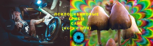 марки nbome Вяземский