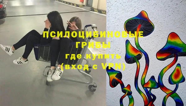 ГАЛЛЮЦИНОГЕННЫЕ ГРИБЫ Вязники