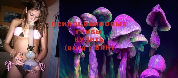 ГАЛЛЮЦИНОГЕННЫЕ ГРИБЫ Вязники